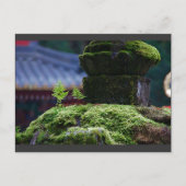 Zwei Fern Postkarte (Vorderseite)