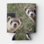 Zwei Ferrets Dosenkühler (Vorderseite)
