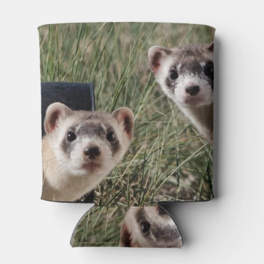 Zwei Ferrets Dosenkühler (Rückseite)