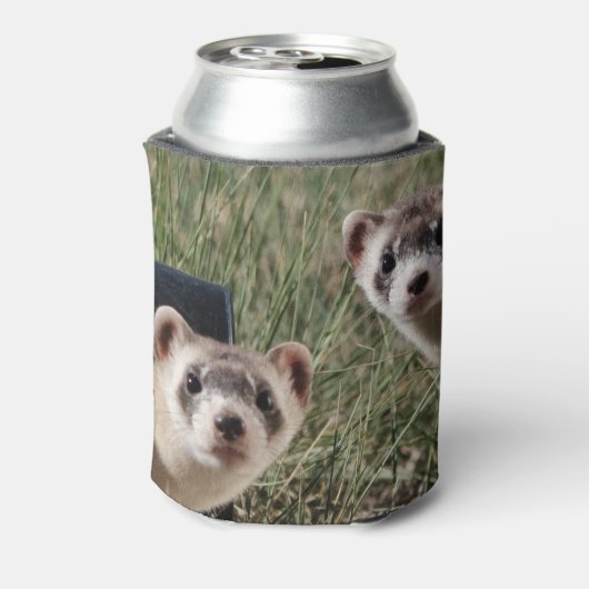 Zwei Ferrets Dosenkühler (Kanne Rückseite)