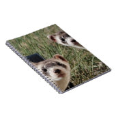 Zwei Ferrets Notizblock (Rechte Seite)