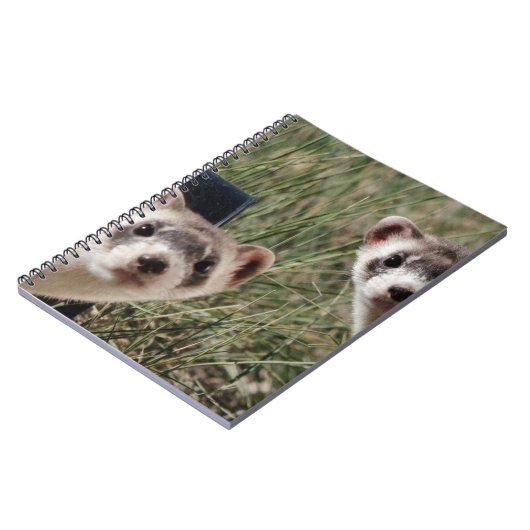 Zwei Ferrets Notizblock (Linke Seite)