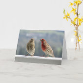 Zwei Finches flirten. Karte (Gelbe Blume)