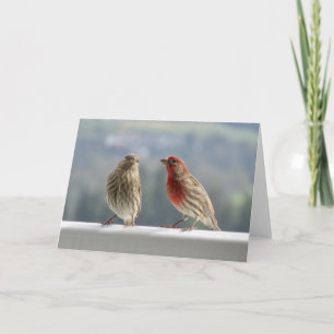 Zwei Finches flirten. Karte