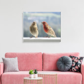 Zwei Finches flirten. Leinwanddruck (Insitu (Wohnzimmer))