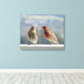 Zwei Finches flirten. Leinwanddruck (Insitu (Holzboden))