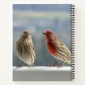 Zwei Finches flirten. Notizblock (Rückseite)