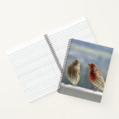 Zwei Finches flirten. Notizblock (Innenseite)
