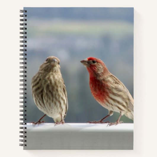 Zwei Finches flirten. Notizblock (Vorderseite)