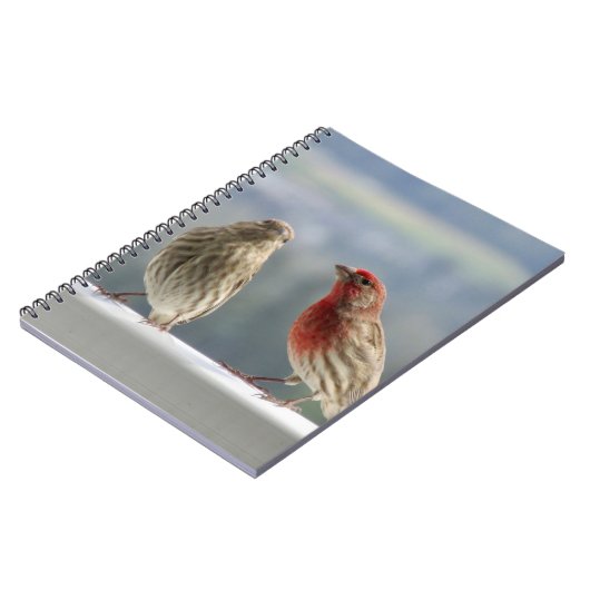 Zwei Finches flirten. Notizblock (Linke Seite)