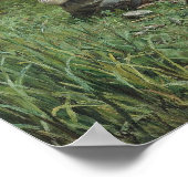 Zwei Fisch-Poster für Frauen - Daniel Ridgway Knig Poster (Ecke)