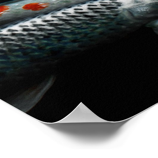 Zwei Fische Poster (Ecke)