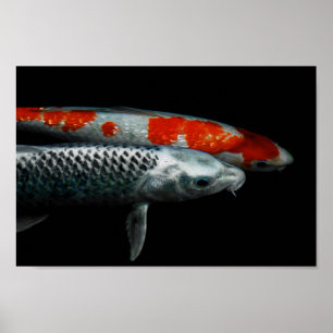 Zwei Fische Poster
