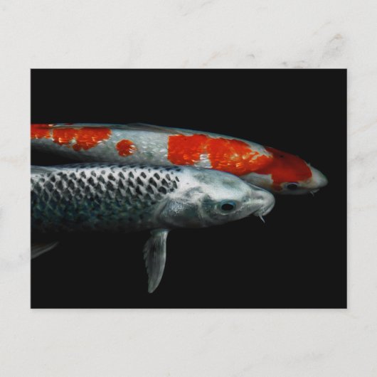 Zwei Fische Postkarte (Vorderseite)