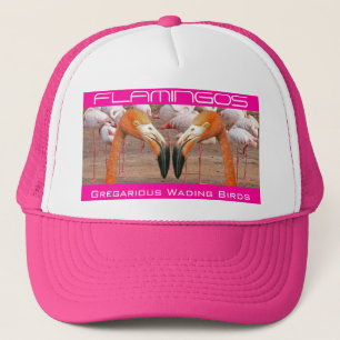 Zwei Flamingo-Köpfe - (Hut) Truckerkappe