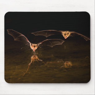 Zwei Fledermäuse fliegen über Wasser, Arizona Mousepad