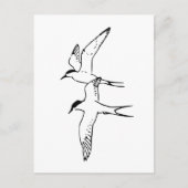 Zwei fliegende arktische Terns Postkarte (Vorderseite)