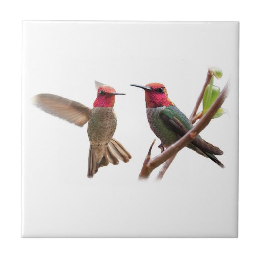 ZWEI FLIEGENDE JUWELEN FLIESE (Vorderseite)