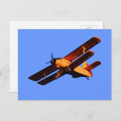Zwei Flügel Flugzeug, altes Flugzeug fliegen Postkarte (Vorne/Hinten)