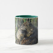 Zwei Fluss-Otter Tasse (Zentrum)