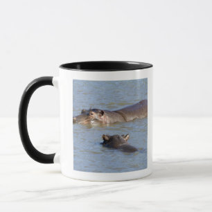 Zwei Flusspferde in einem Fluss, Kruger Tasse