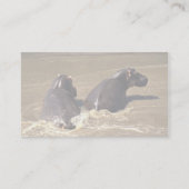 Zwei Flusspferde Visitenkarte (Rückseite)