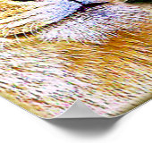 Zwei fokussierte_Poster Poster (Ecke)