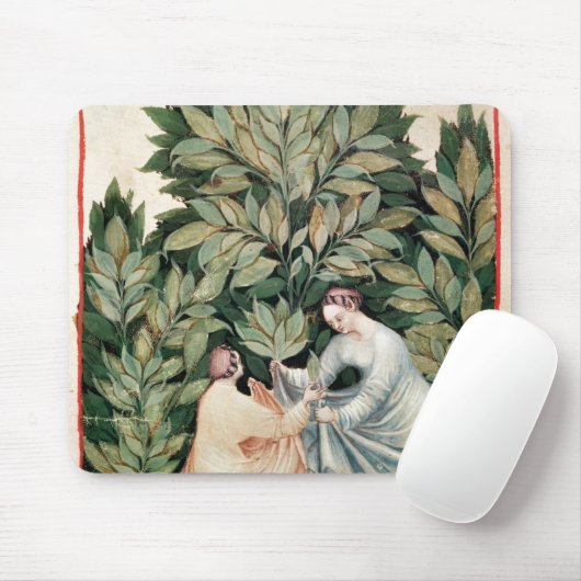 Zwei Frauen, die Salbei, von 'Tacuinum auswählen Mousepad (Mit Mouse)