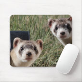 Zwei Frettchen Mousepad (Mit Mouse)