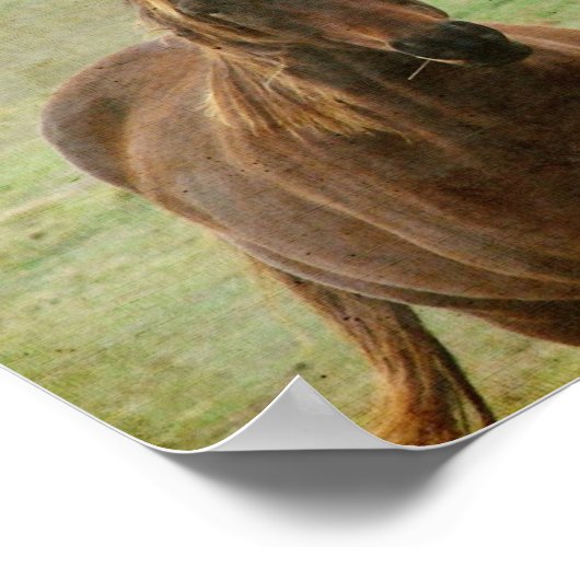 Zwei Freunde des Pferdes Poster (Ecke)