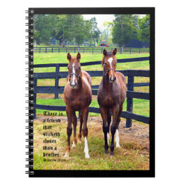 Zwei Freunde mit Sprichwörtern 18:24 Notizblock