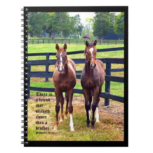 Zwei Freunde mit Sprichwörtern 18:24 Notizblock (Vorderseite)