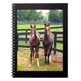 Zwei Freunde Notizblock