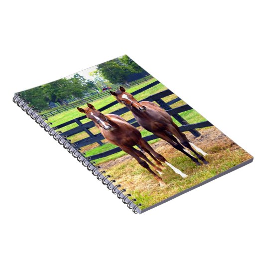 Zwei Freunde Notizblock (Rechte Seite)