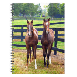 Zwei Freunde Notizblock