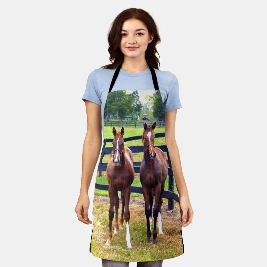 Zwei Freunde Schürze (Getragen)