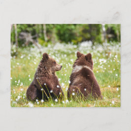 Zwei Freunde tragen Postkarte