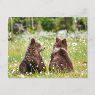 Zwei Freunde tragen Postkarte