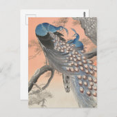 Zwei Friedenstruppen auf dem Zweig Bäume von Ohara Postkarte (Vorne/Hinten)