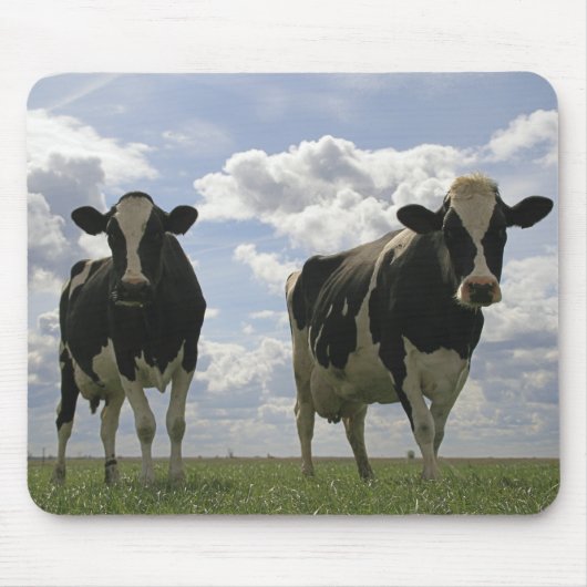 Zwei friesische Kühe Mousepad (Vorne)