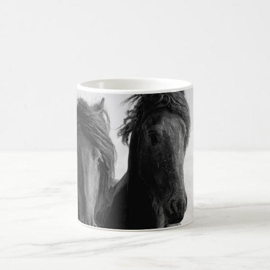 Zwei friesische Stallions. Kaffeetasse (Mittel)