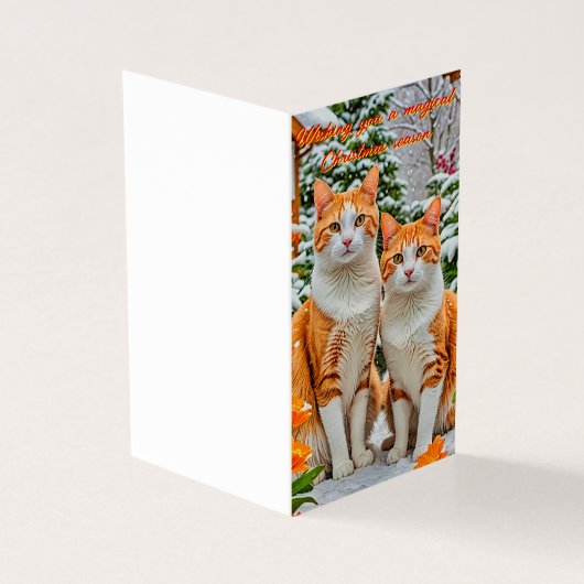 Zwei fröhliche orange-weiße Katzen Weihnachtskarte (Vorderseite)