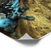 zwei Frösche drucken Poster (Ecke)