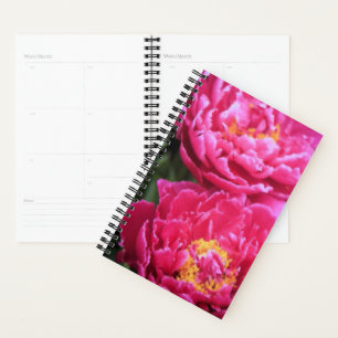 Zwei Fuchsia Peony Blooms Gemälde Planer