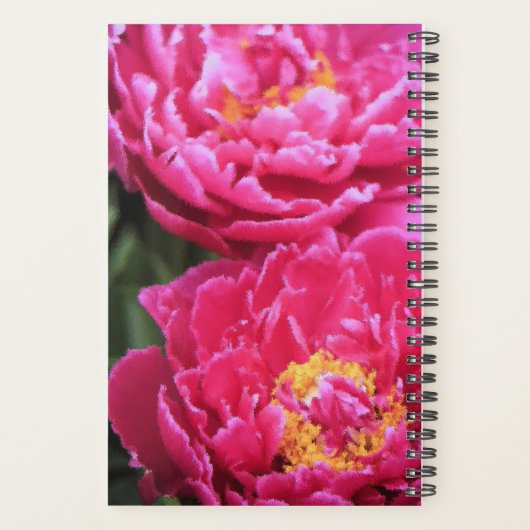 Zwei Fuchsia Peony Blooms Gemälde Planer (Rückseite)