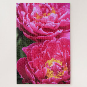 Zwei Fuchsia Peony Blooms Gemälde Puzzle