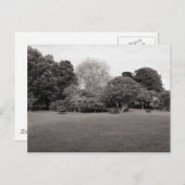 Zwei für die Freude (warm, schwarz und weiß) Postkarte (Vorne/Hinten)