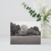 Zwei für die Freude (warm, schwarz und weiß) Postkarte (Stehend Vorderseite)