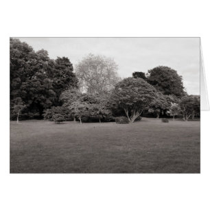 Zwei für die Freude (Warm Toned BW)