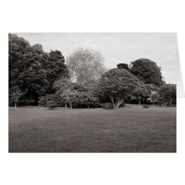 Zwei für die Freude (Warm Toned BW) (Vorderseite (Horizontal))